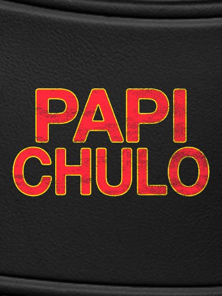 Papi Chulo