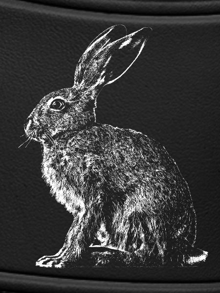 Hare / Hare / Hare / Bunny