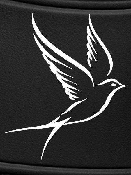 Bird Pigeon