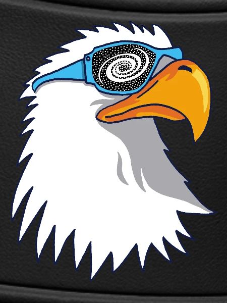 Eagle and Galactic Goggles