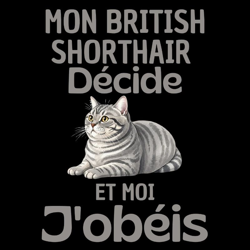 My British Shorthair decides, I obey