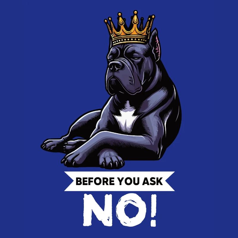 Before You Ask Cane Corso Cane Corsos Corso halter