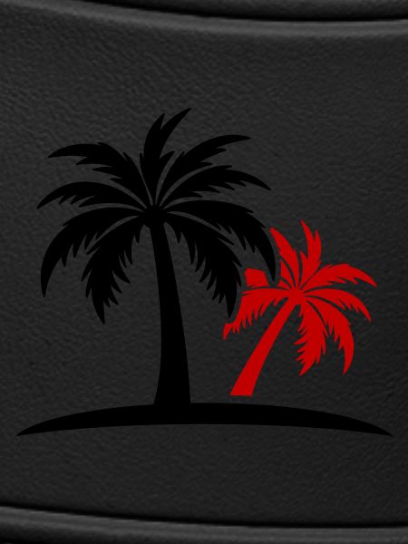 Palm Island