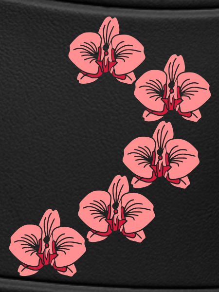 Orchideen