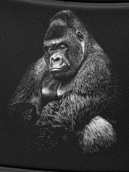 Gorilla
