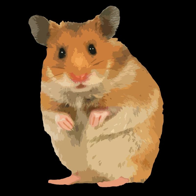 Hamster