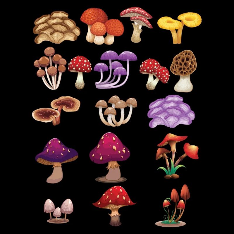 Champignons Champignons Champignons Collection Forêt Cadeau