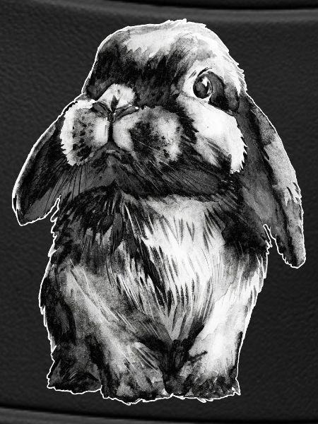 Rabbit Schlapohr