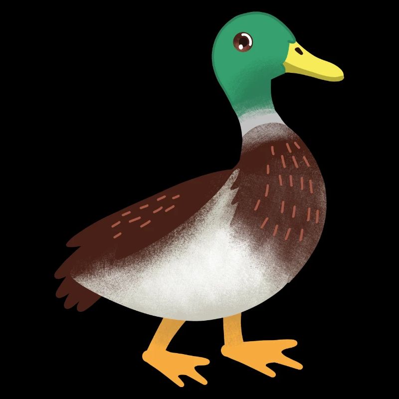 Main simple de canard colvert dessiné