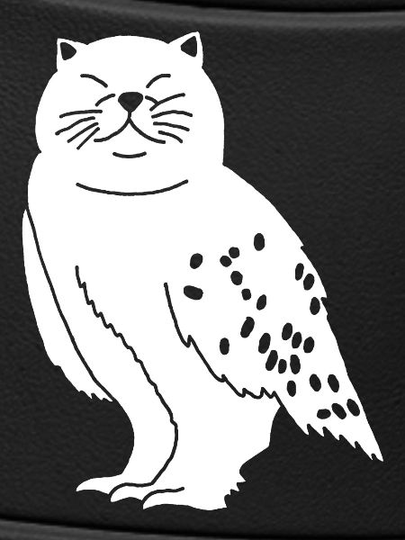 Chat chouette