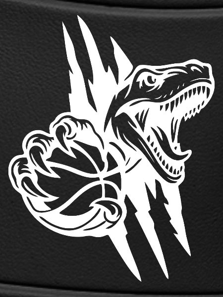 Roaring Raptor Basketball