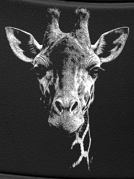 Girafe