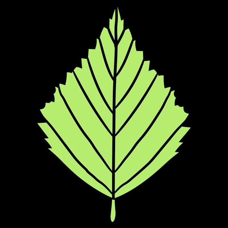 outline birch leaf tree plant shape clip art desig