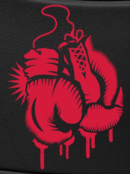 two boxing gloves
