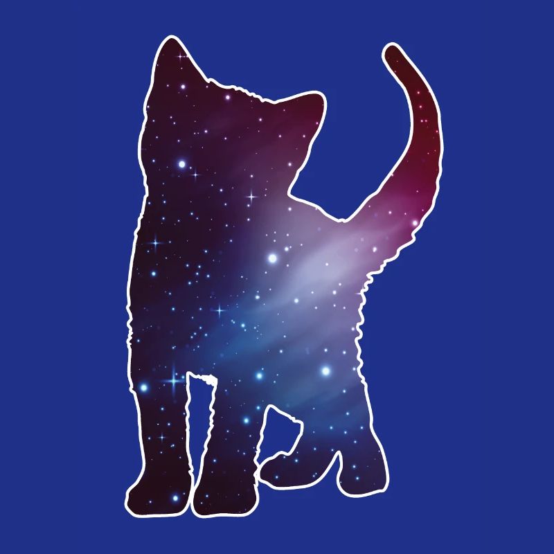 Chat Kitten Silhouette Cat Espace Espace Cadeau