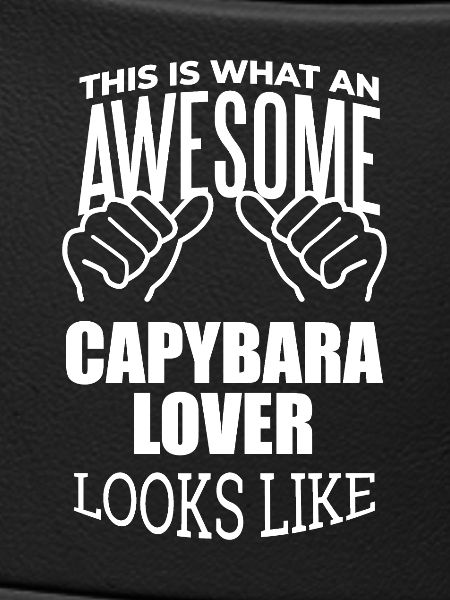Capybara Capybara Capybara