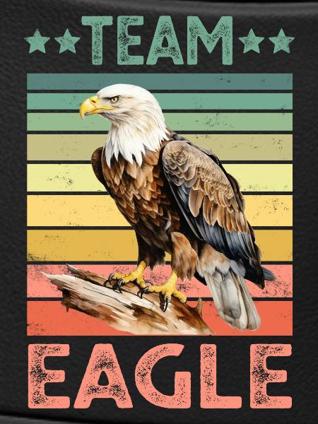 Eagle Bald Eagle