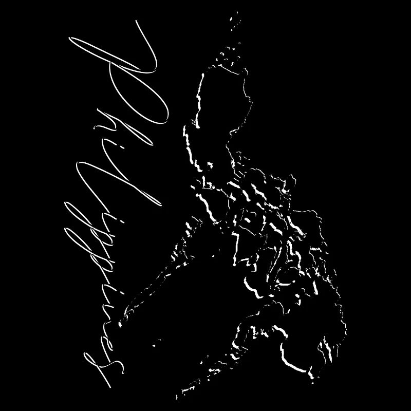Philippines map as outline EN