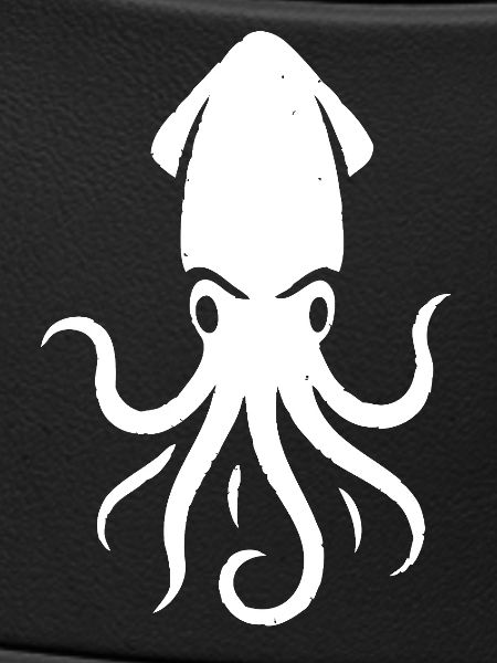 Squid