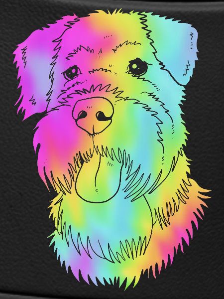 Wheaten Terrier