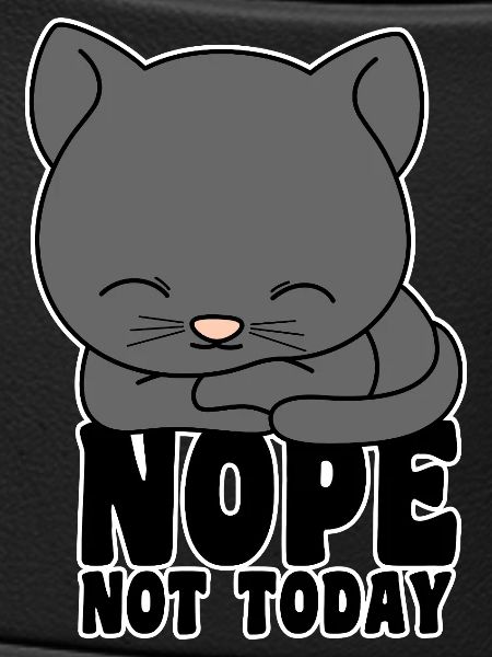 Cat - Nope not today