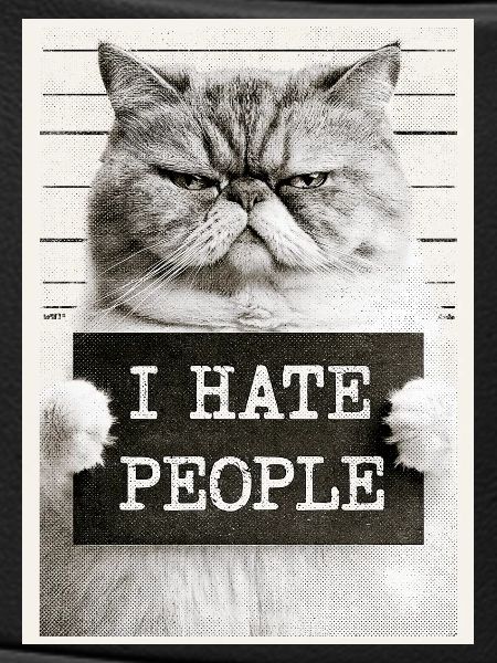 GrimmigerKater I HATE PEOPLE