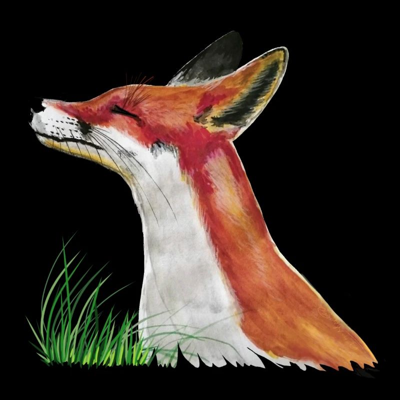 The little fox