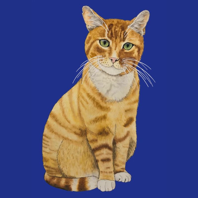 rote Katze sitzend