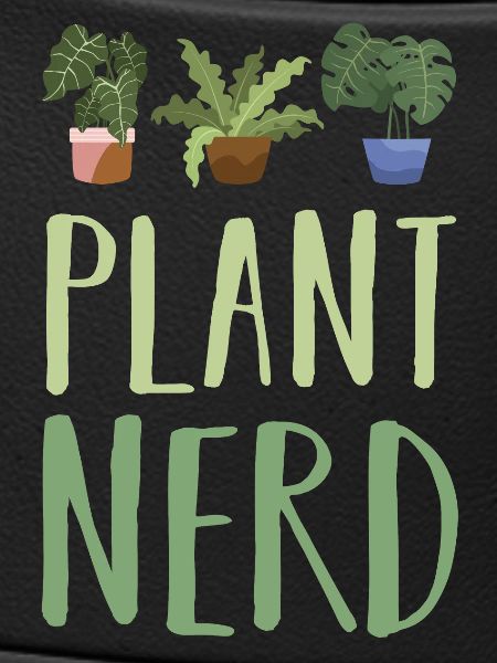 Plant Plants