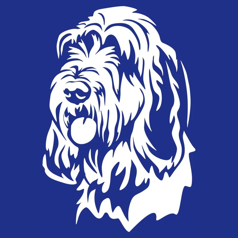 Spinone Italiano Head "Black Edition"