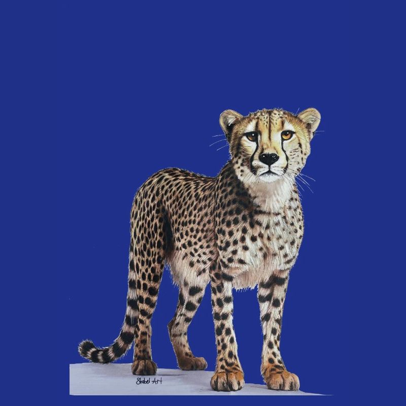 Guépard - Gepard