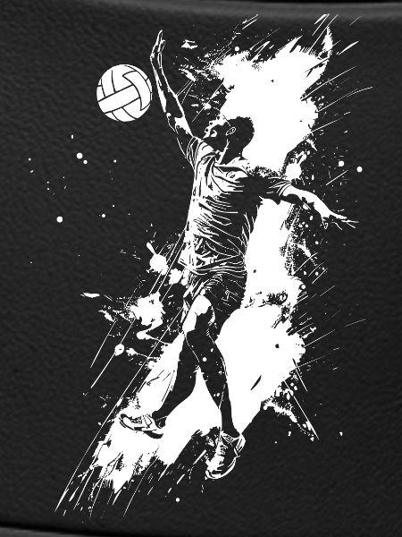 Volleyball player