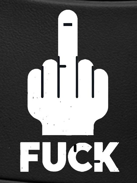 Middle Finger Vibes