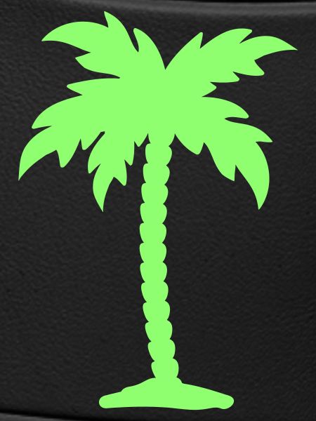 palm tree