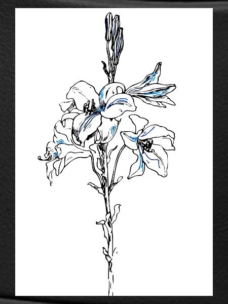 Lys bleus