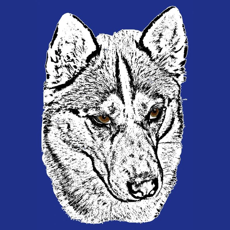 Wolf Head Husky Line Drawing Brown Eyes