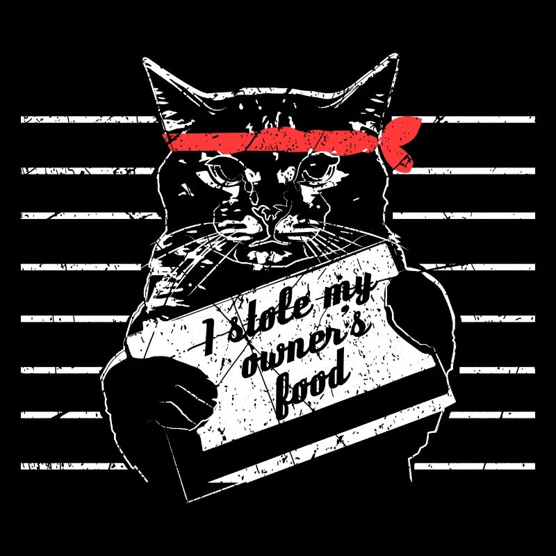 Chat cadeau animal