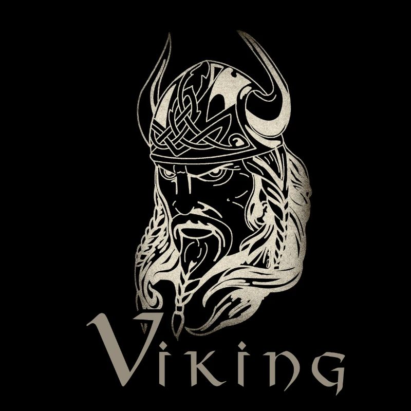 Wikinger, Viking, Krieger