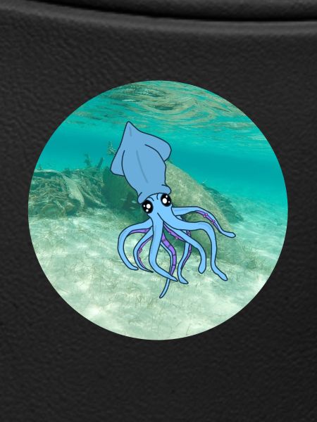 calamari under water