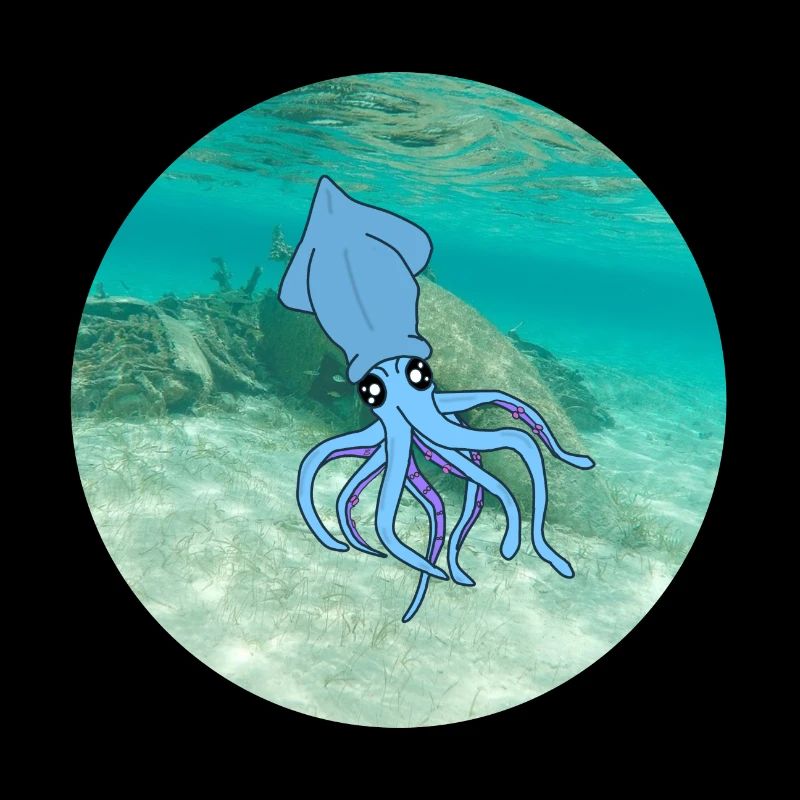 calamars sous l'eau