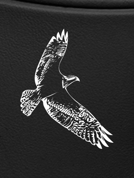 Hawk in flight