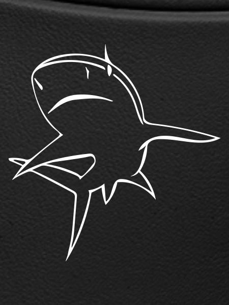 Cuddly shark