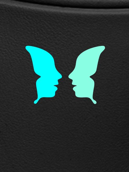 Optical Ilusion