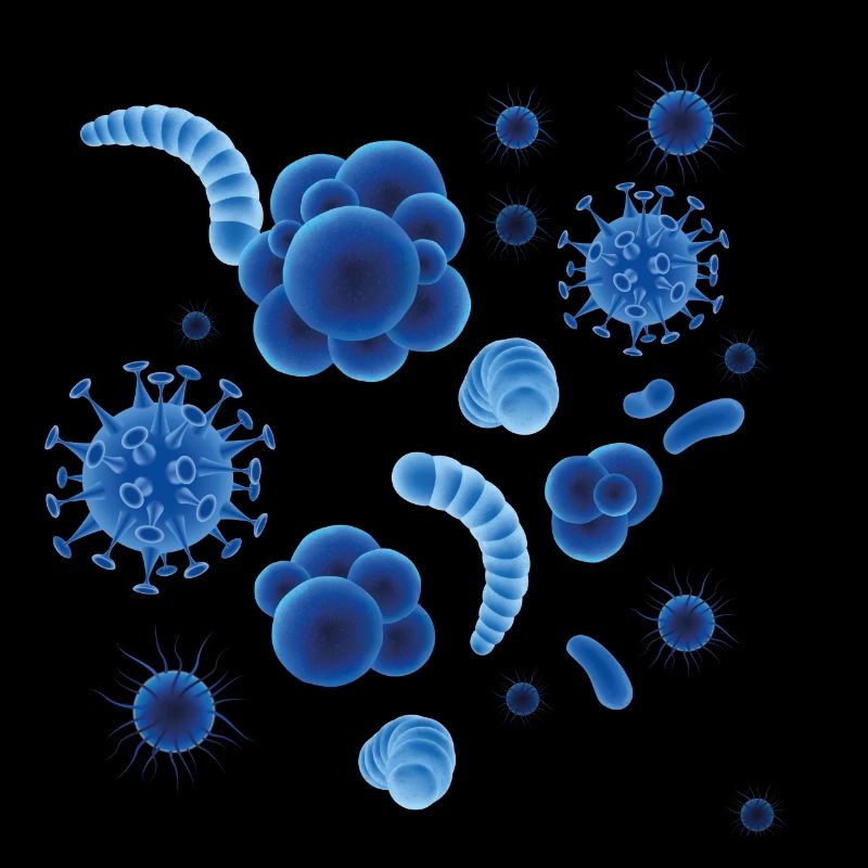 Virus bacteria germ Corona Sars COVID19 gift