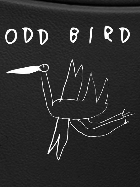 ODD BIRD