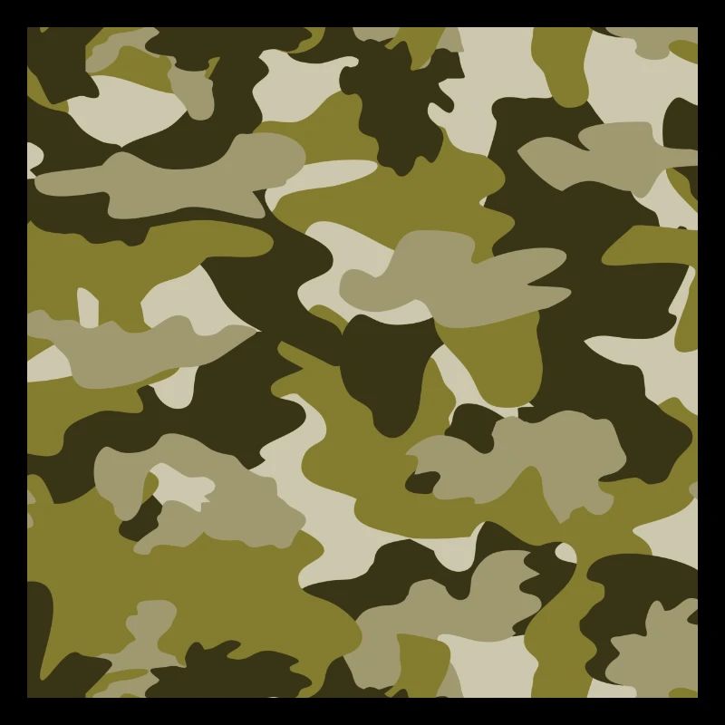camouflage