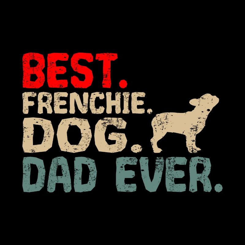 Frenchie bouledogue français papa pour maître