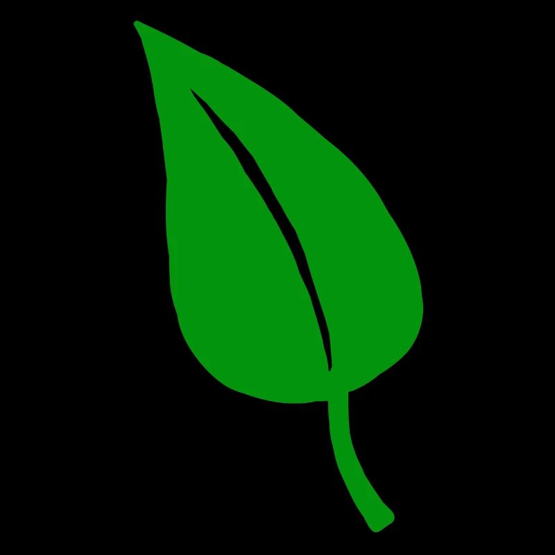 Feuilles jardin nature vert jardinage bio feuille verte