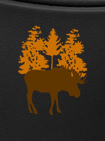 Moose