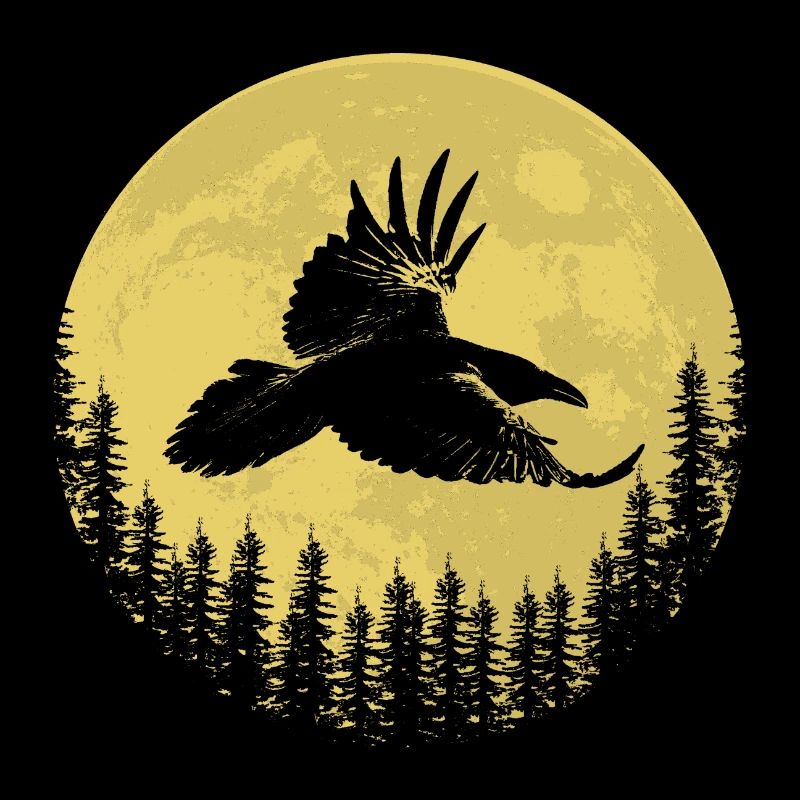 Idée cadeau oiseau de proie Raven Night